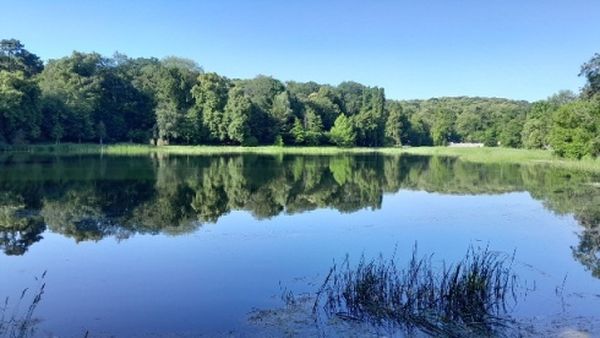 Photo des Etangs de Corot